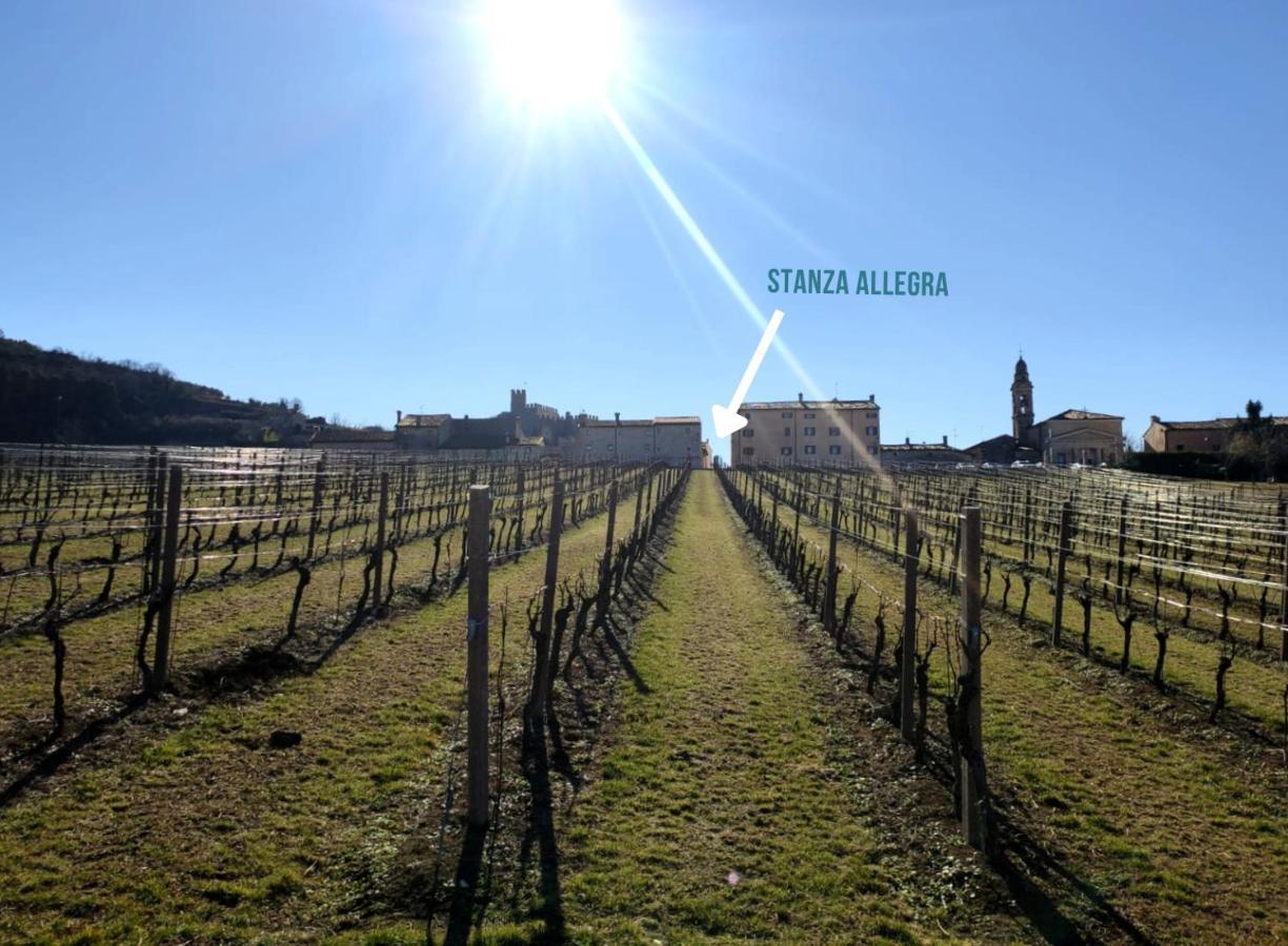 Stanza Allegra Soave Luaran gambar