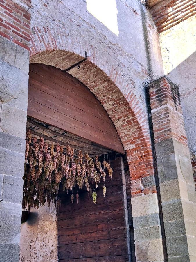 Stanza Allegra Soave Luaran gambar
