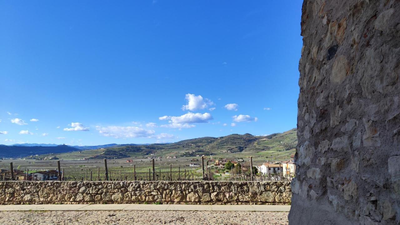 Stanza Allegra Soave Luaran gambar